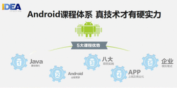 石家莊軟件開(kāi)發(fā)速成班 聚焦教育軟件開(kāi)發(fā)的高效路徑